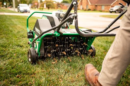 Winterizing Your Maritimes Lawn